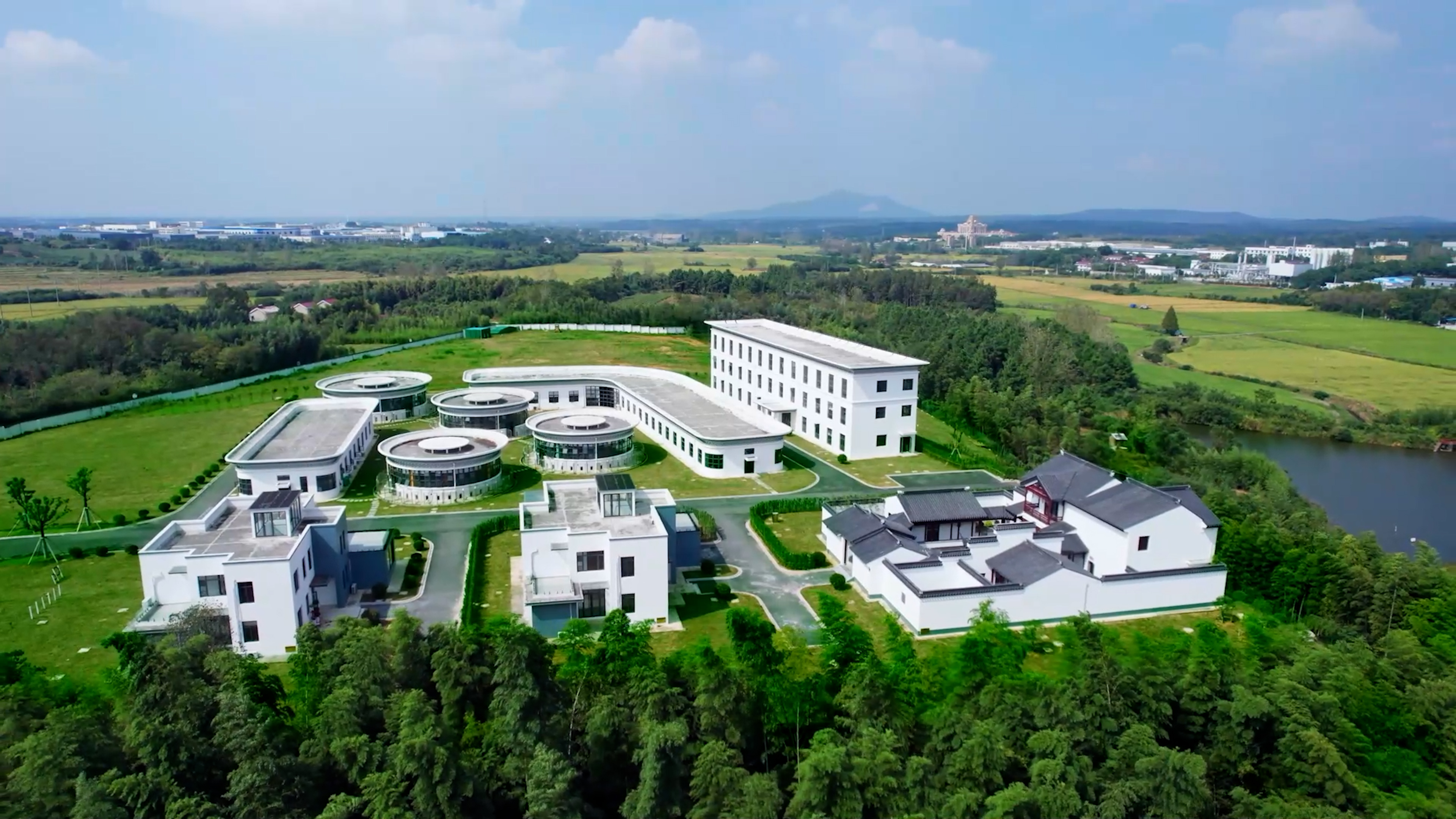 中國首個獲批實驗動物使用許可的寵物食品公司！福貝寵食引領行業科研規范化進程